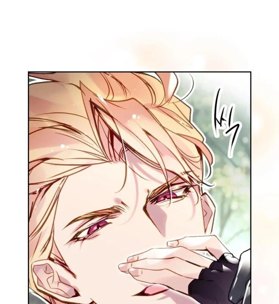 Chapter image 14