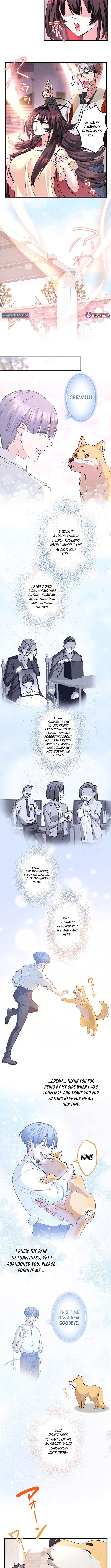 Chapter image 7