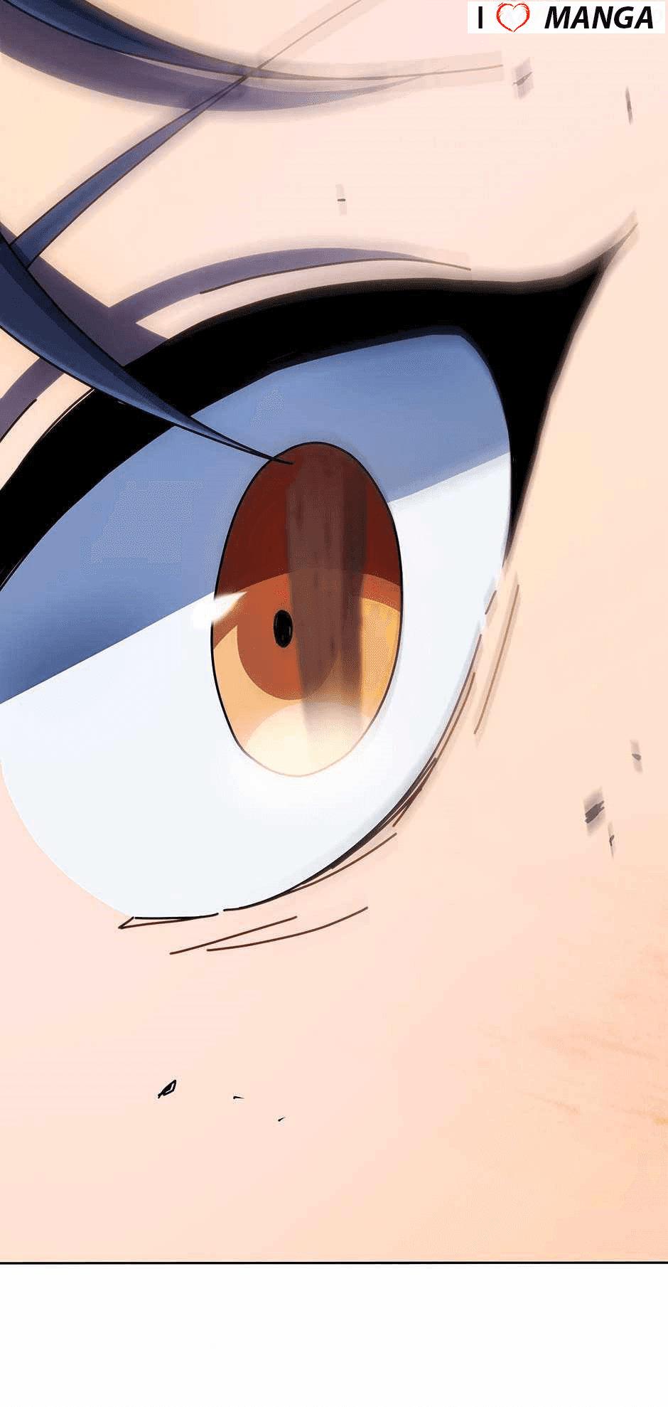 Chapter image 13