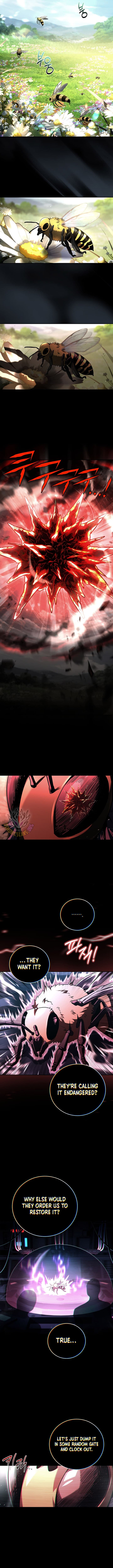 Chapter image 9