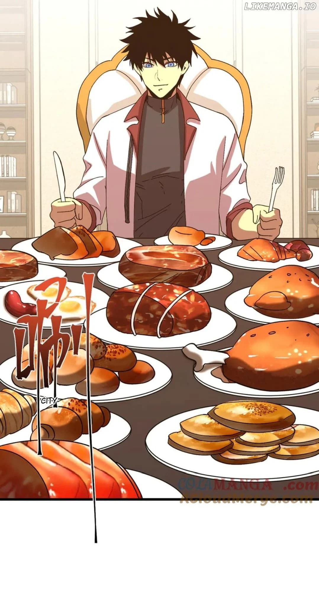 Chapter image 13