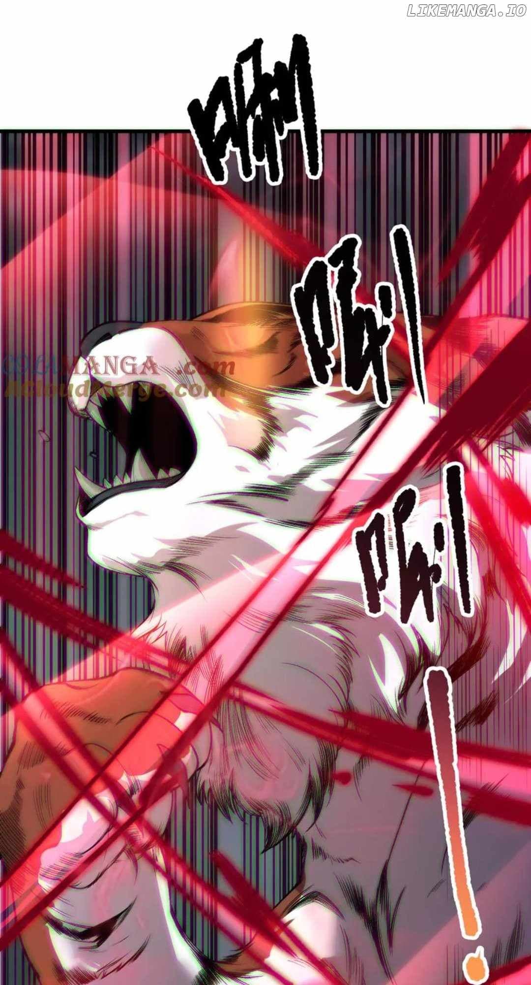 Chapter image 5