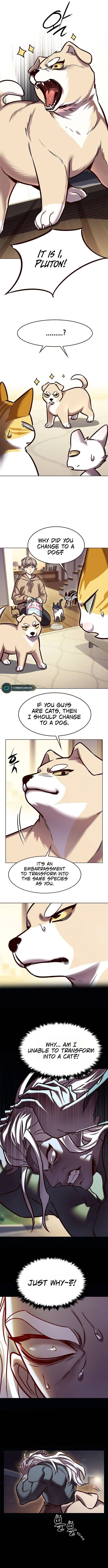 Chapter image 12