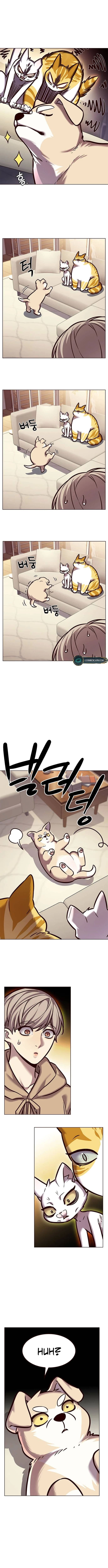 Chapter image 15