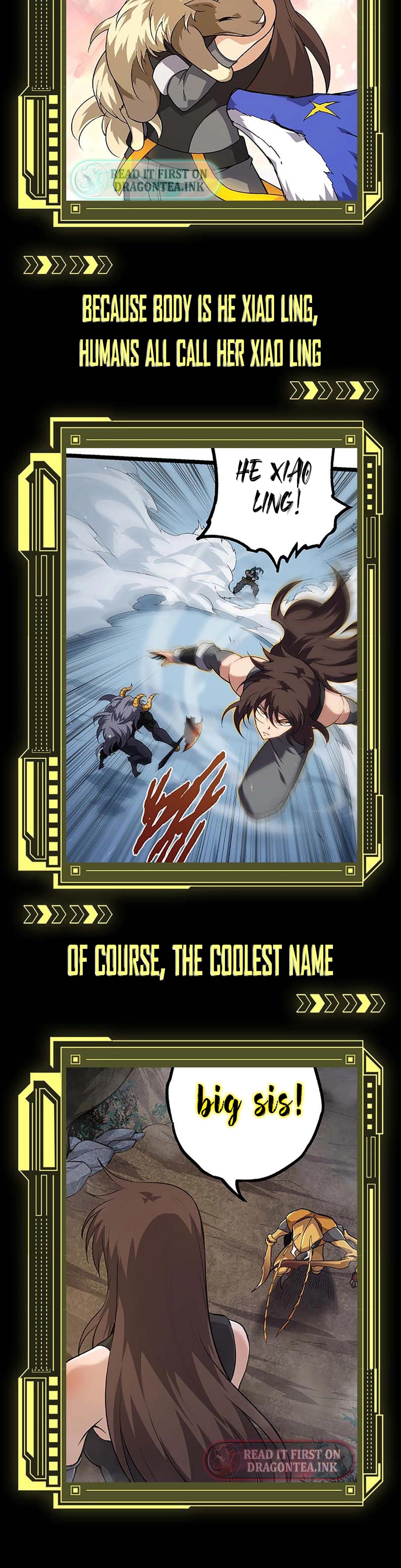 Chapter image 4