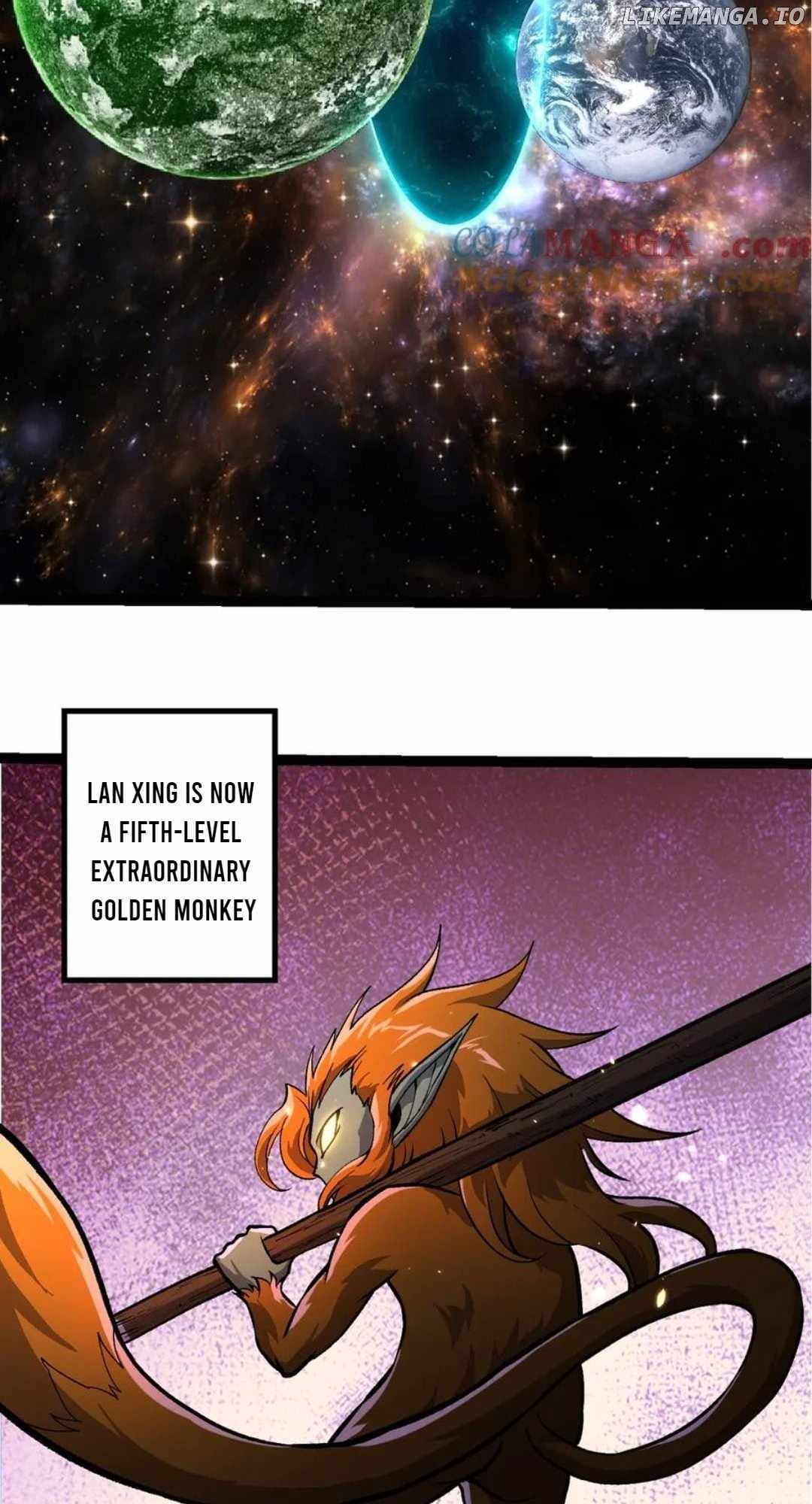 Chapter image 7