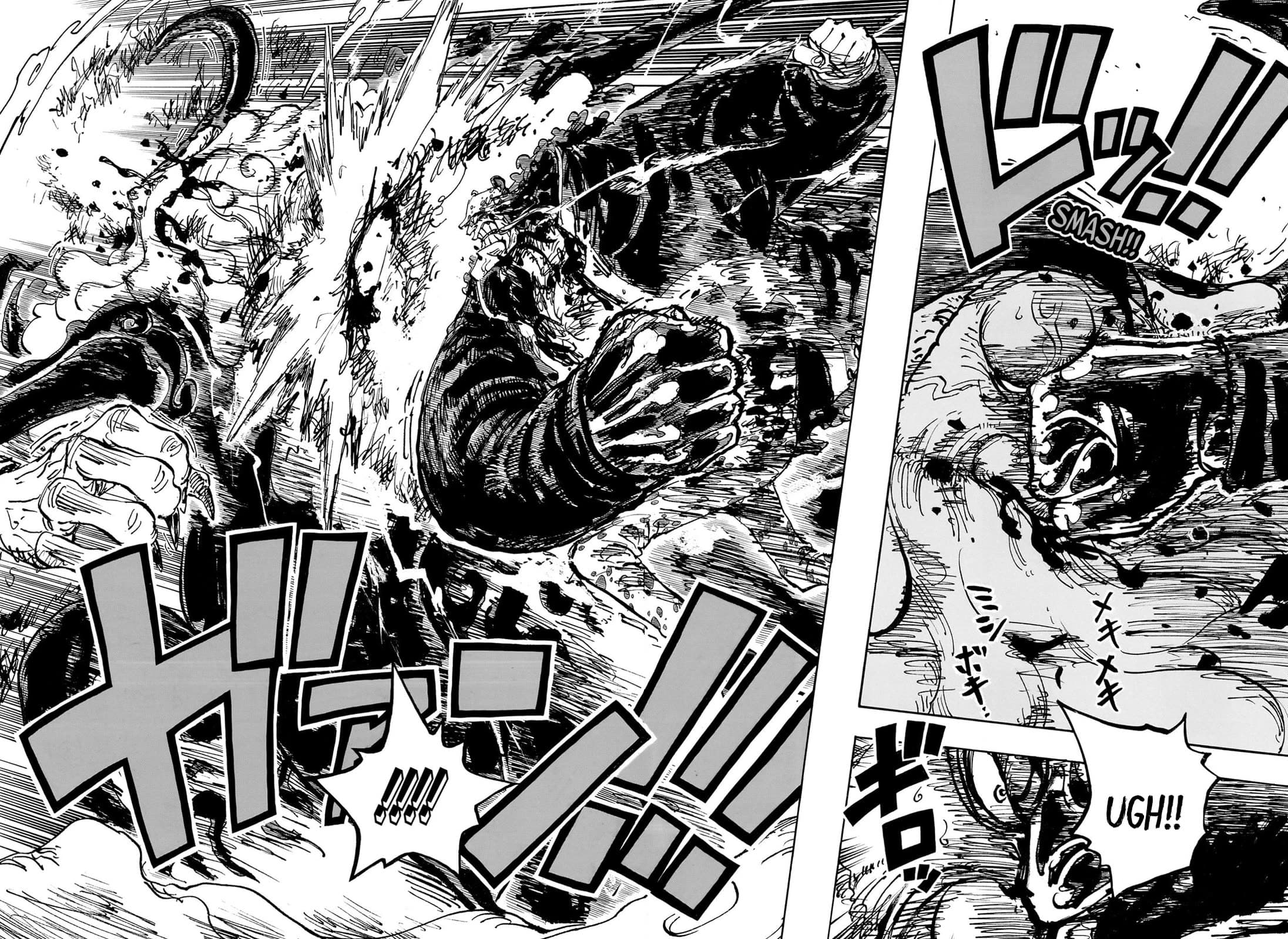Chapter image 5