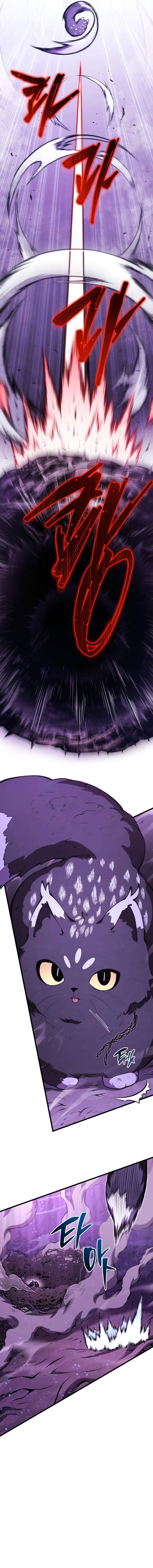 Chapter image 7