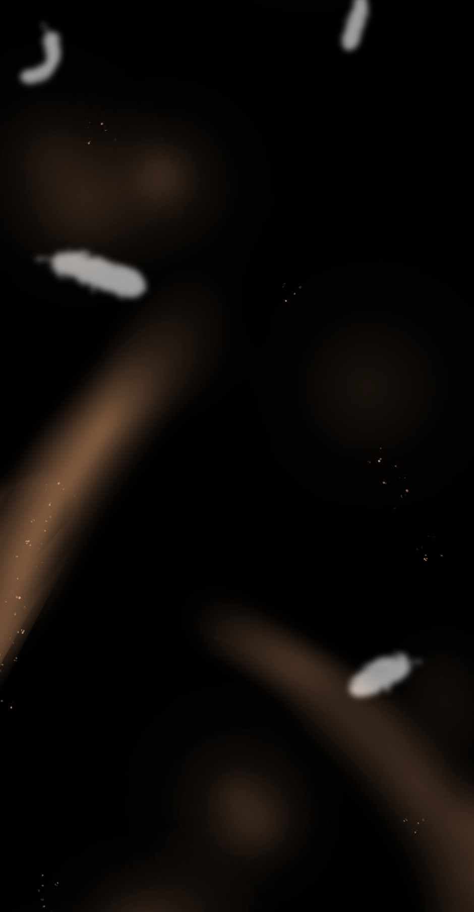 Chapter image 3