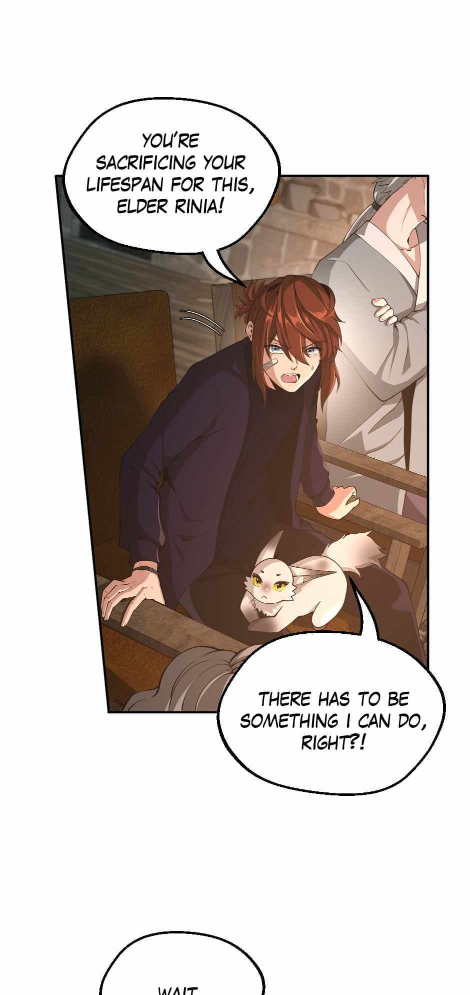 Chapter image 14