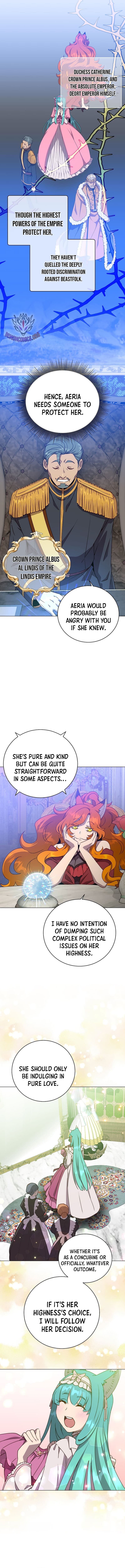 Chapter image 3