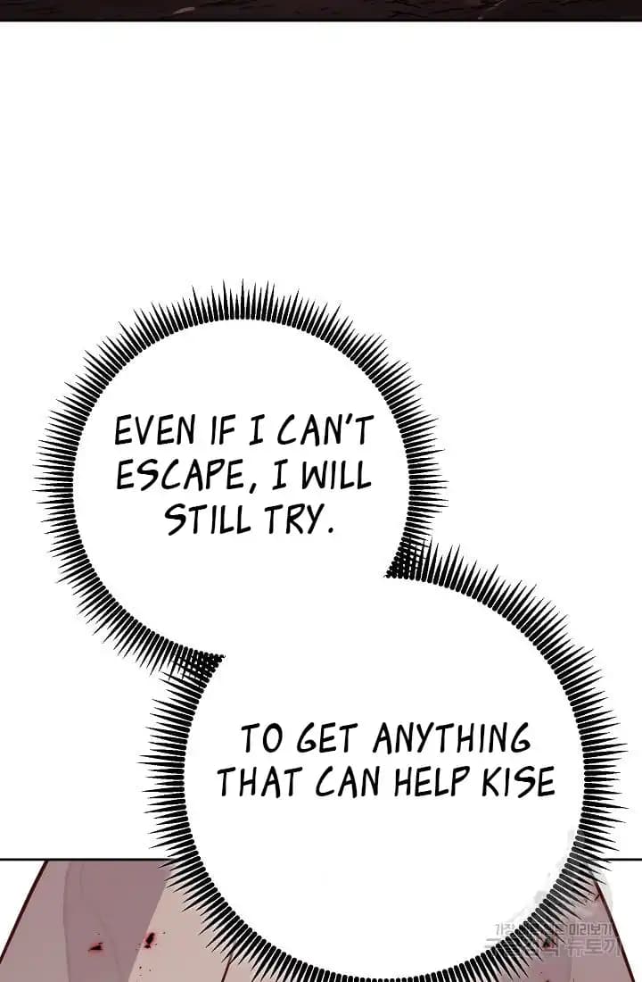 Chapter image 29