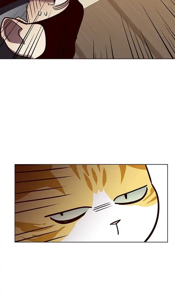 Chapter image 31