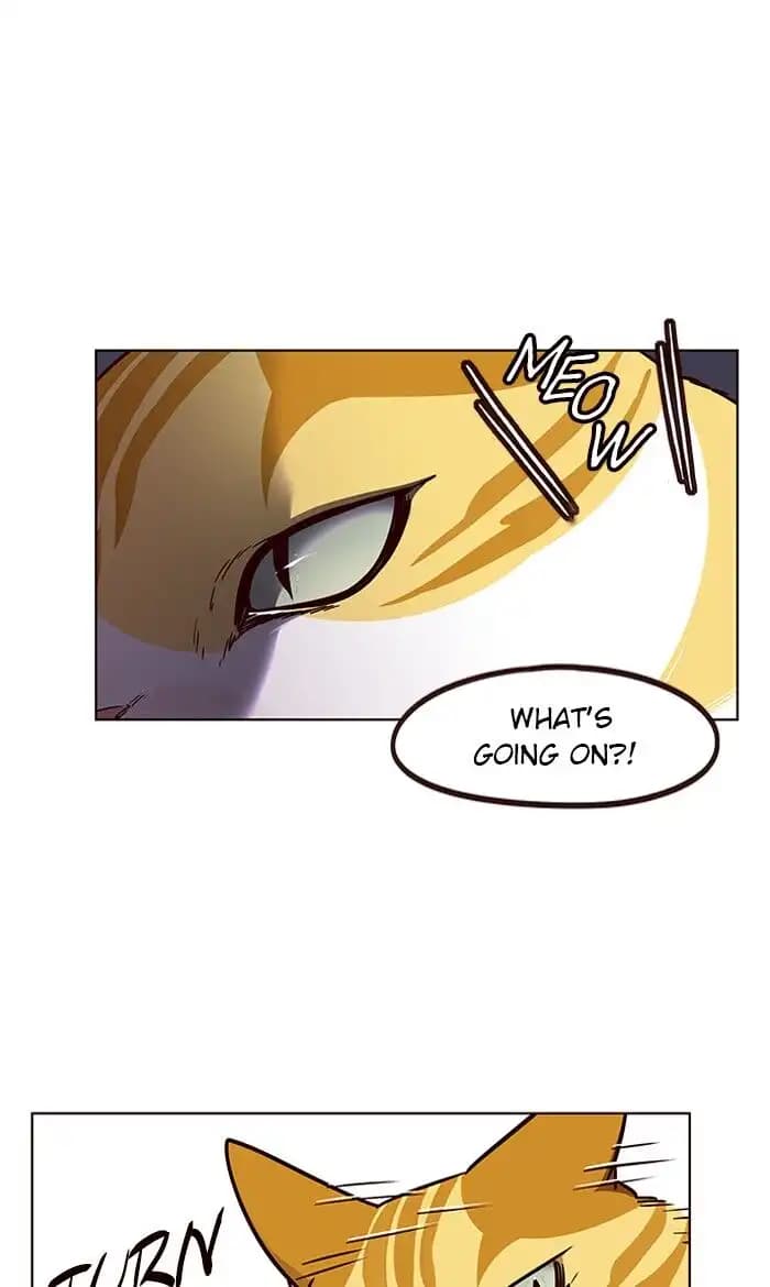 Chapter image 5