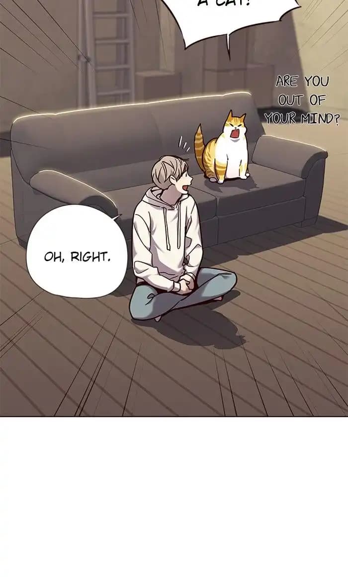 Chapter image 17
