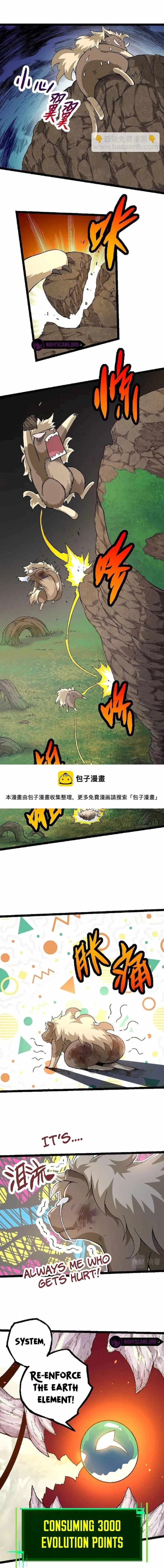 Chapter image 4