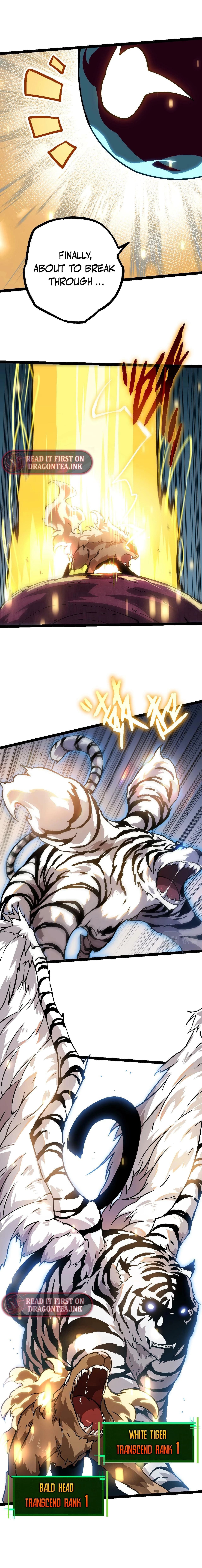 Chapter image 13