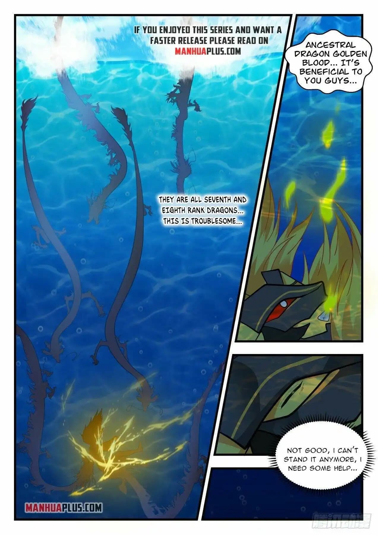 Chapter image 7