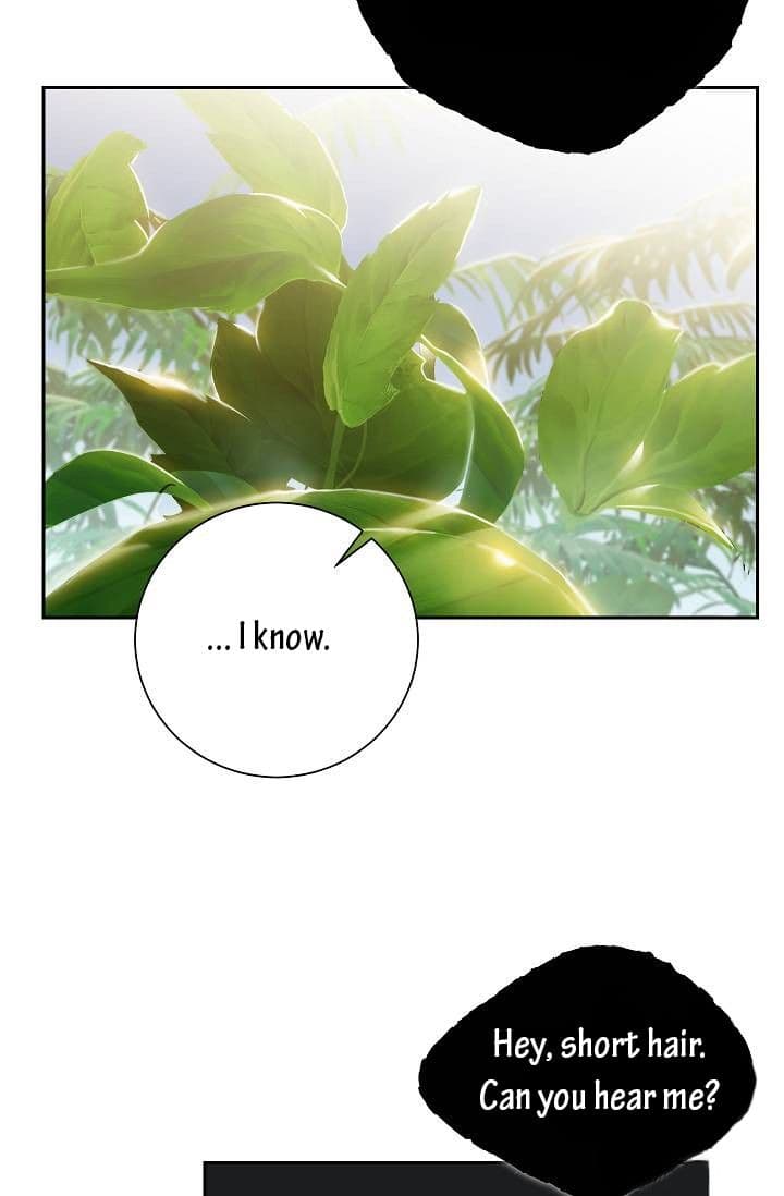 Chapter image 7