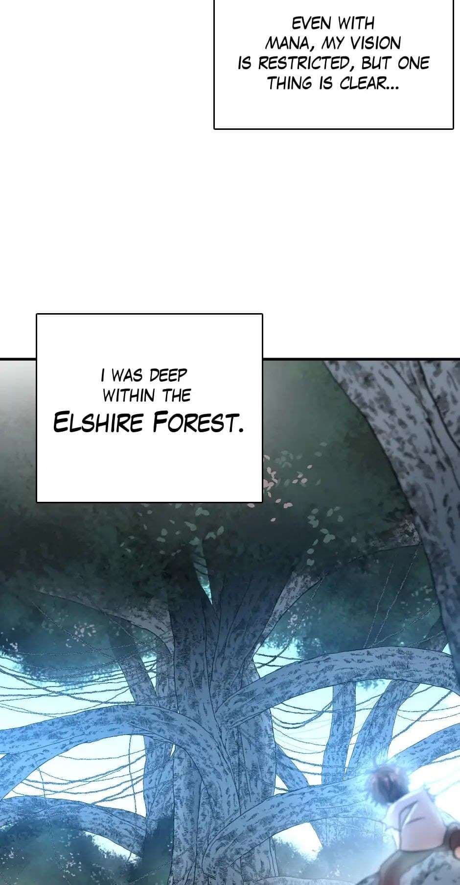 Chapter image 52