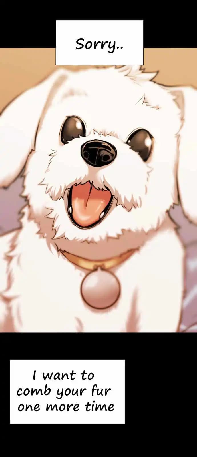 Chapter image 42