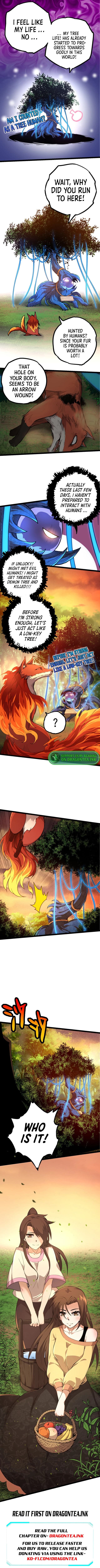 Chapter image 7