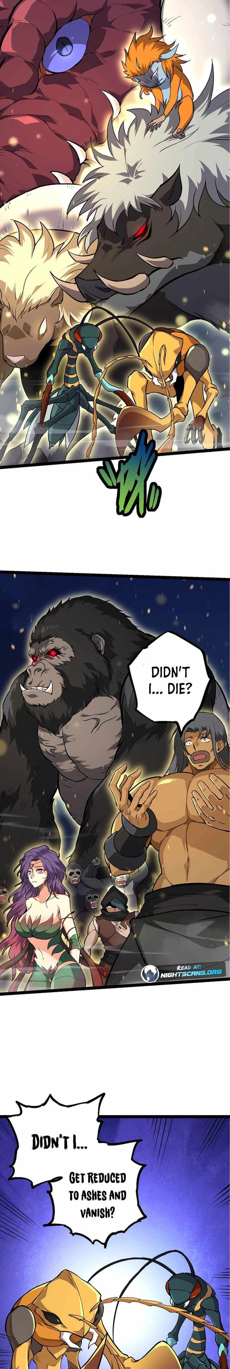 Chapter image 11