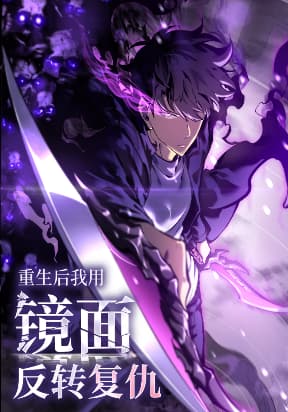 After Rebirth, I Used Mirror Reversal For Vengeance poster
